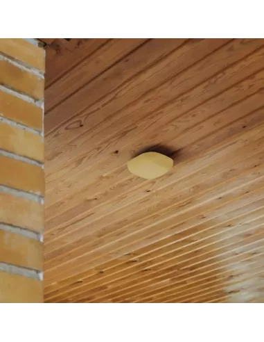 Détecteur de Fumée Design Kupu 10, sans piles, Orange