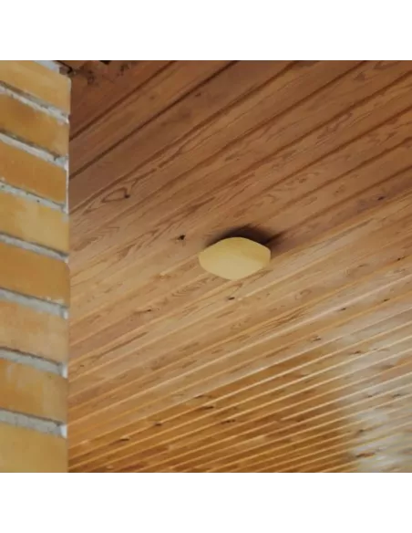 Détecteur de Fumée Design Kupu 10, sans piles, Orange