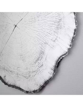 Miroir Design Tronc Arbre Arbo Dark L 2