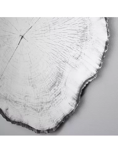 Miroir Design Tronc Arbre Arbo Dark L