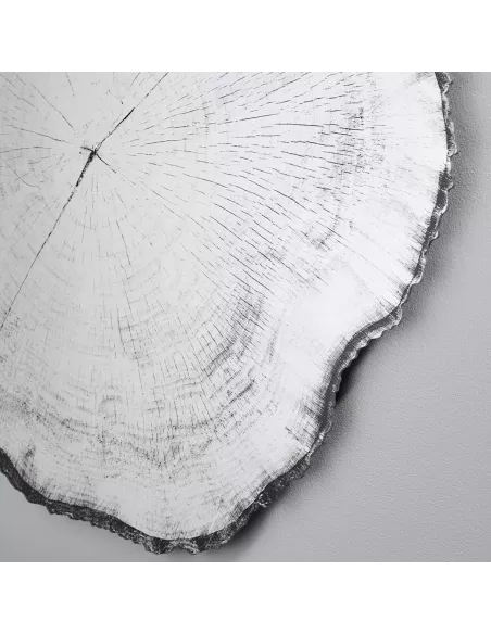 Miroir Design Tronc Arbre Arbo Dark L