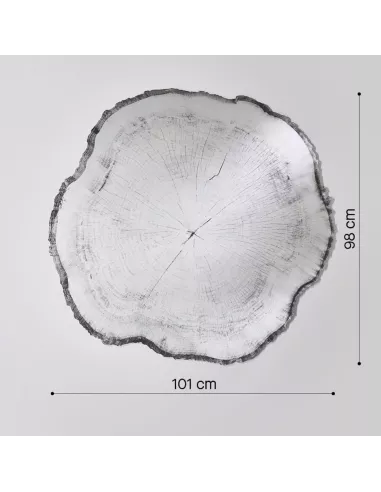 Miroir Design Tronc Arbre Arbo Dark L