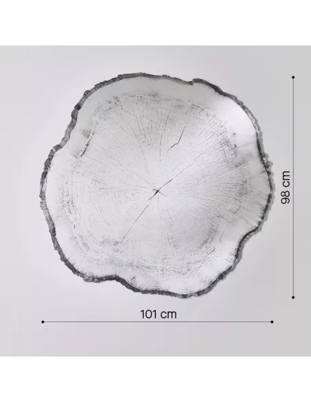 Miroir Design Tronc Arbre Arbo Dark L