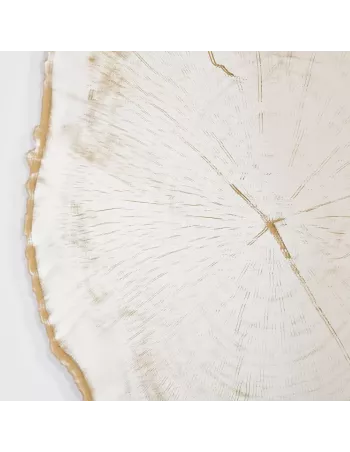 Miroir Design Tronc Arbre Arbo Gold L 2