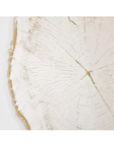 Miroir Design Tronc Arbre Arbo Gold L