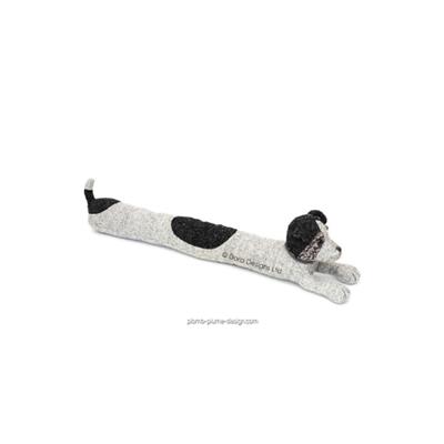 Boudin de Porte Chien  Jack Russell Paddy Senior