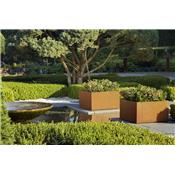 Bac / Jardinire Thallo Corten